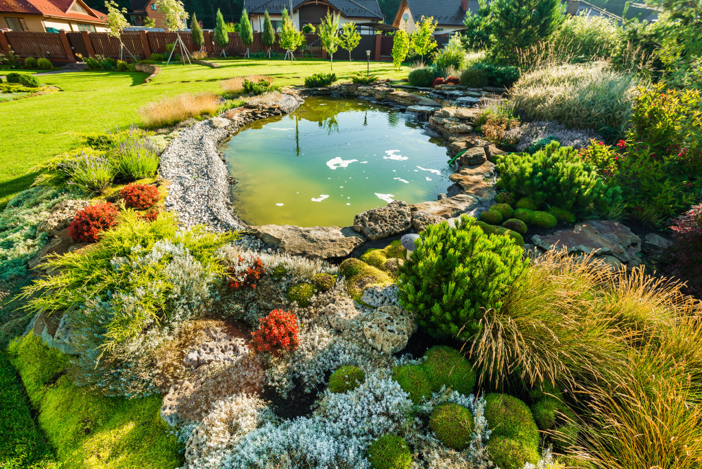 backyard with pond